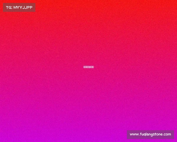 新加坡武术比赛