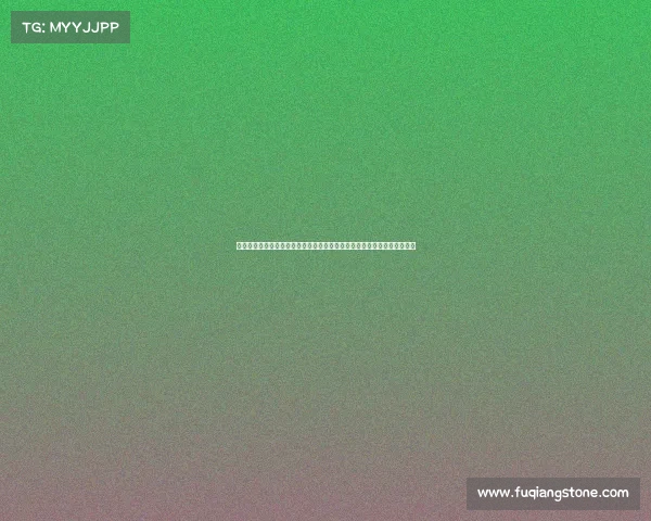 深入解析国外女足赛事从欧洲女子冠军联赛到世界杯的激情碰撞和荣耀时刻