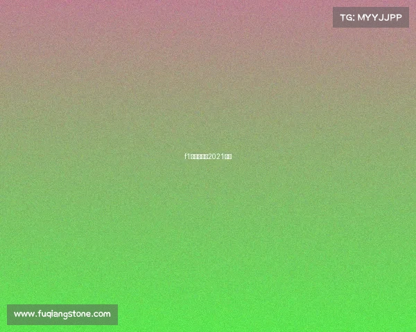 f1日本大奖赛2021回看