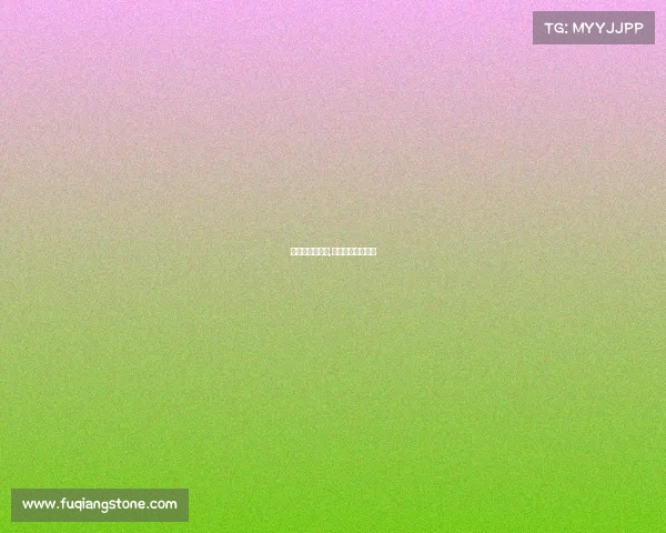 世界杯近日赛事,世界杯今日时间表